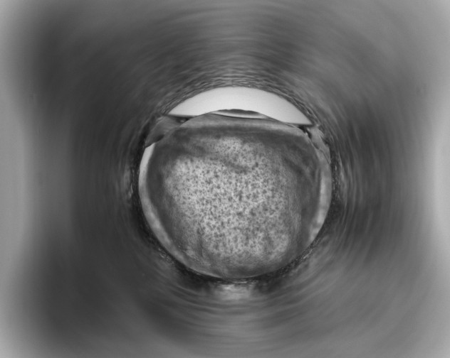 X0000096640232200802261305