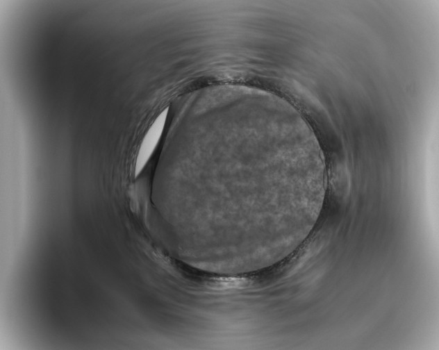 X0000096640233200802261305