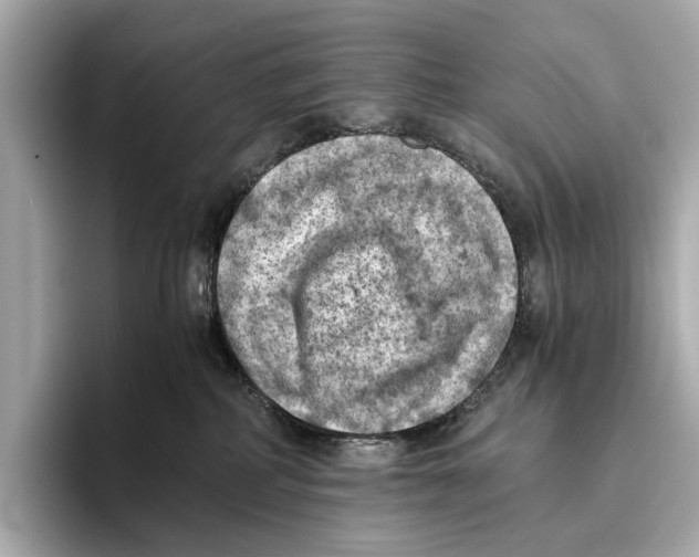 X0000096640234200802261305