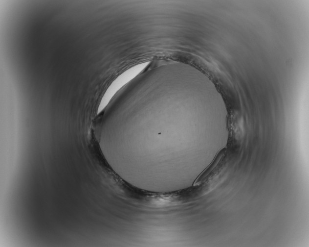 X0000096640235200802261305