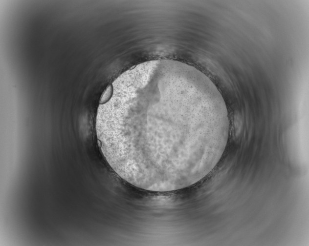 X0000096640236200802261305