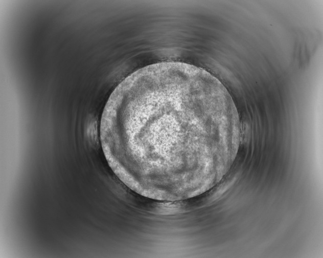 X0000096640238200802261305