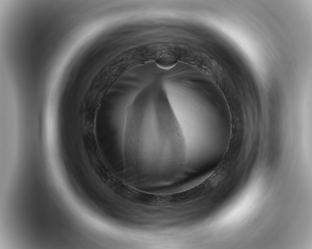 X0000096640239200802261305