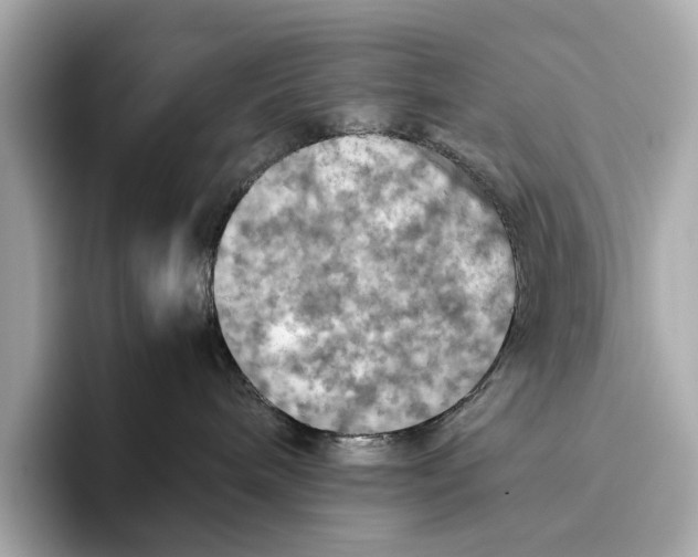 X0000096640240200802261305