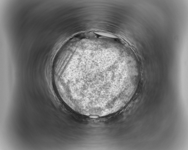 X0000096640241200802261304