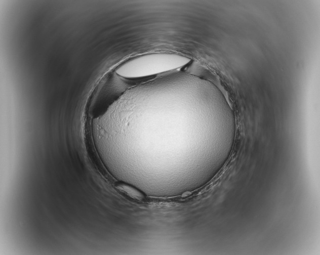 X0000096640242200802261304