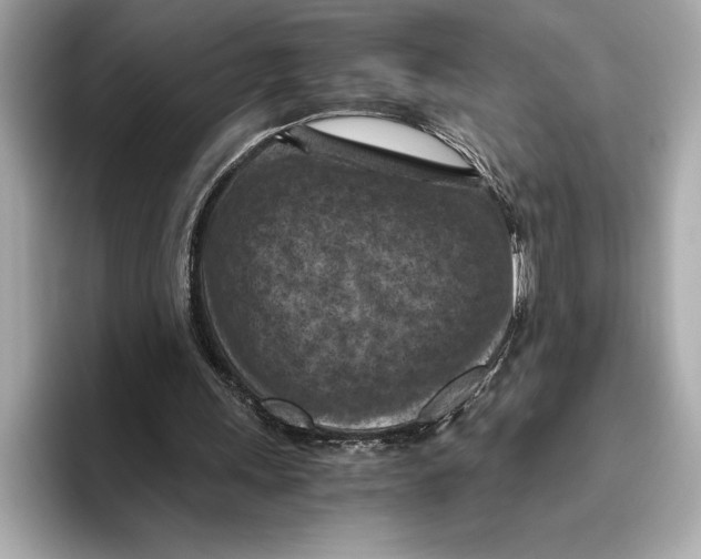 X0000096640243200802261304