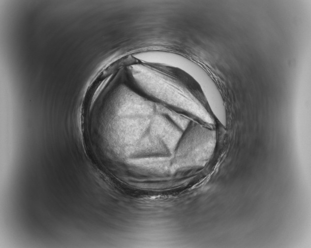 X0000096640244200802261304