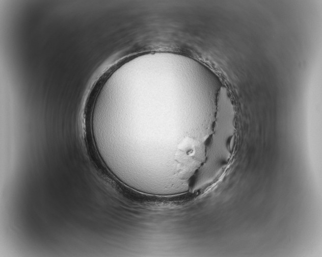 X0000096640246200802261304