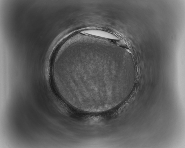 X0000096640247200802261304