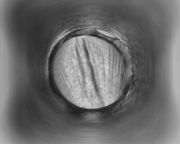 X0000096640248200802261304