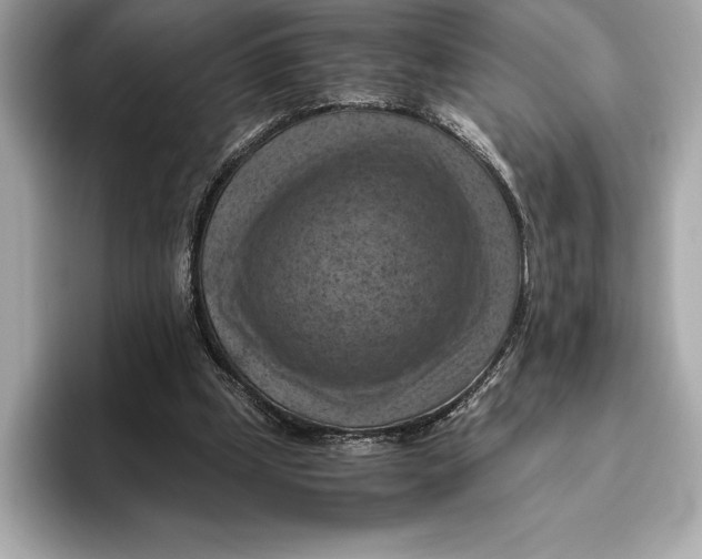 X0000096640249200802261304