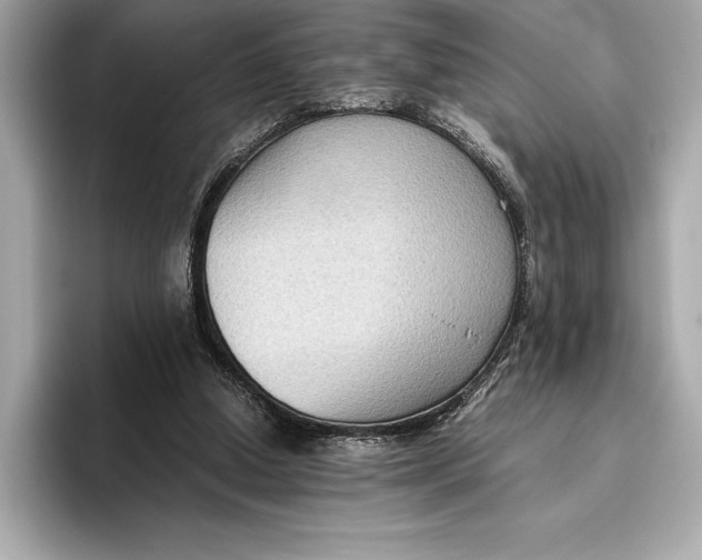 X0000096640250200802261304