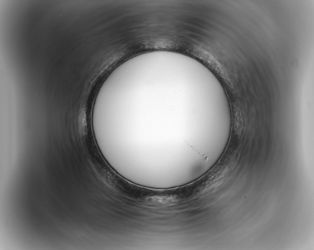 X0000096640251200802261304