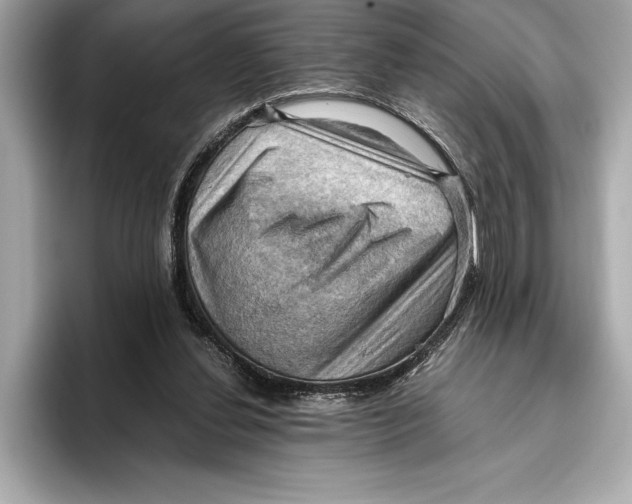 X0000096640252200802261304