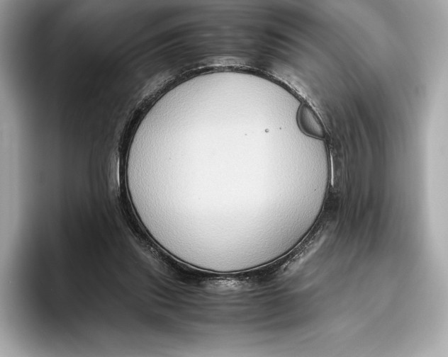 X0000096640253200802261304