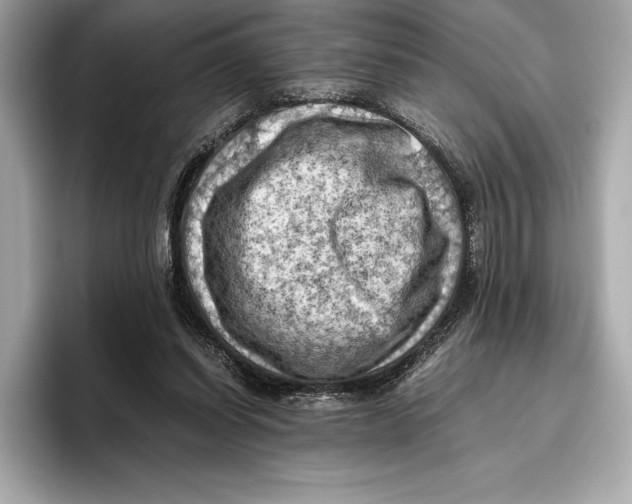 X0000096640254200802261304