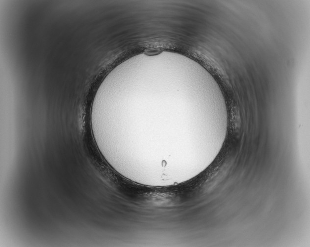 X0000096640255200802261304