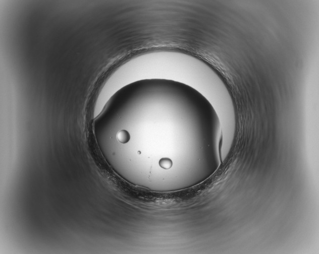 X0000096640256200802261304