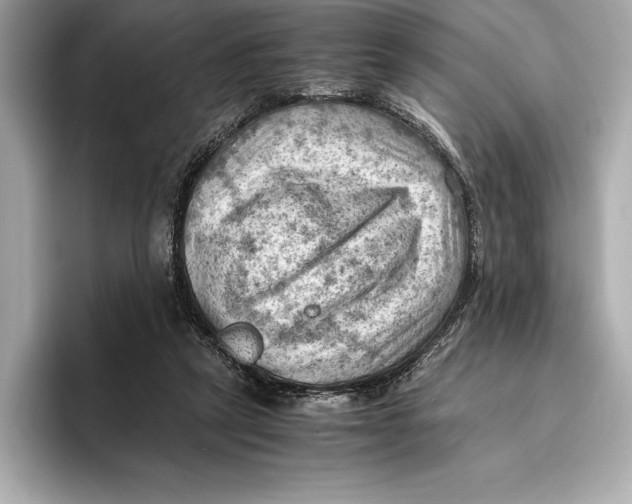 X0000096640257200802261304