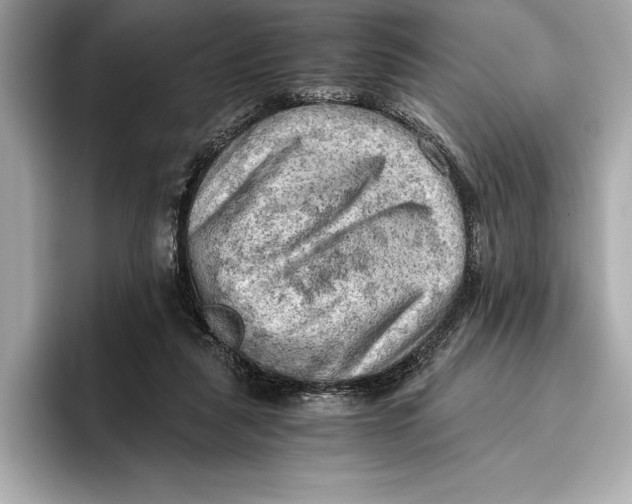 X0000096640259200802261304