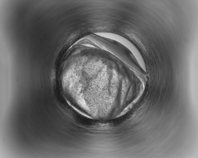 X0000096640260200802261304