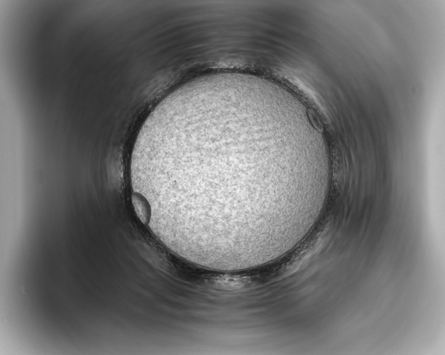 X0000096640261200802261304