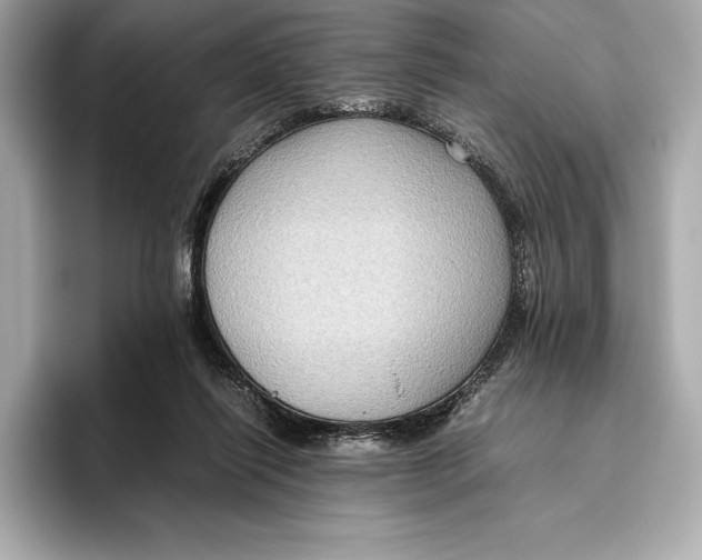 X0000096640262200802261304