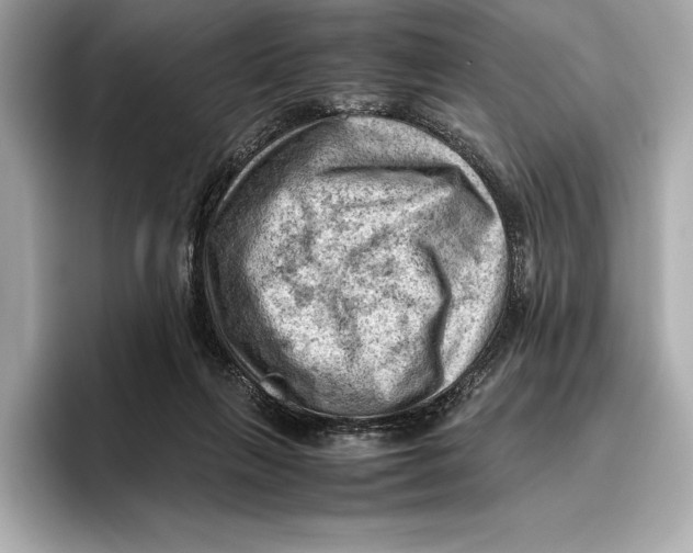 X0000096640263200802261305