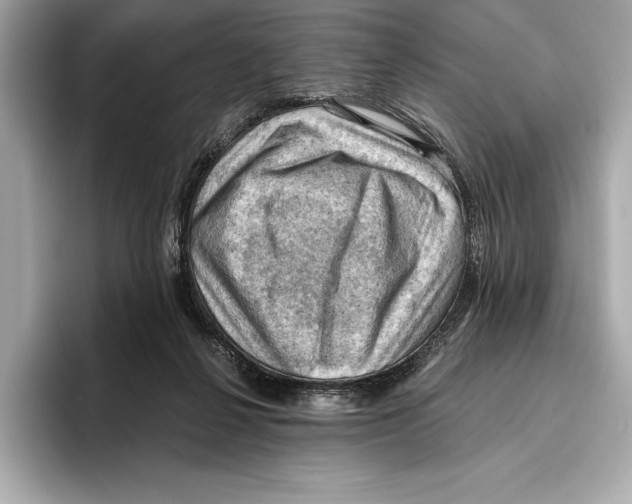 X0000096640264200802261305