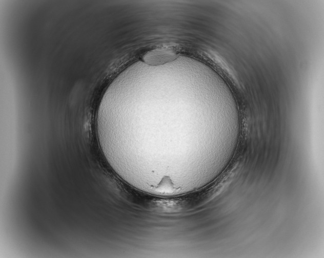 X0000096640265200802261305