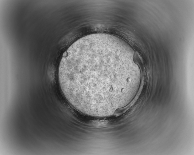 X0000096640266200802261305