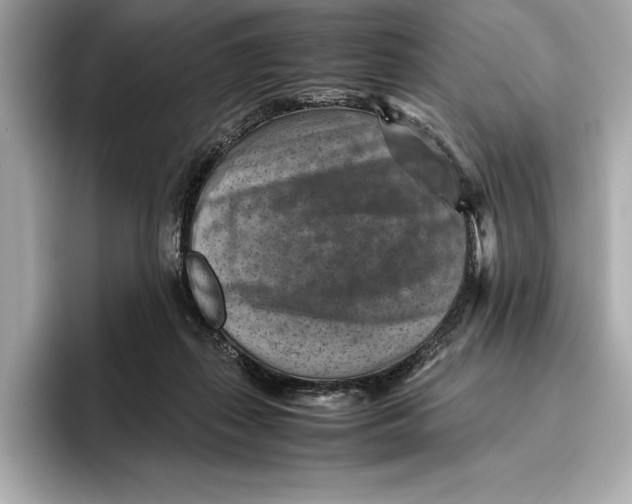 X0000096640267200802261305