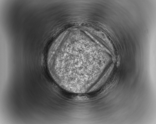 X0000096640270200802261305