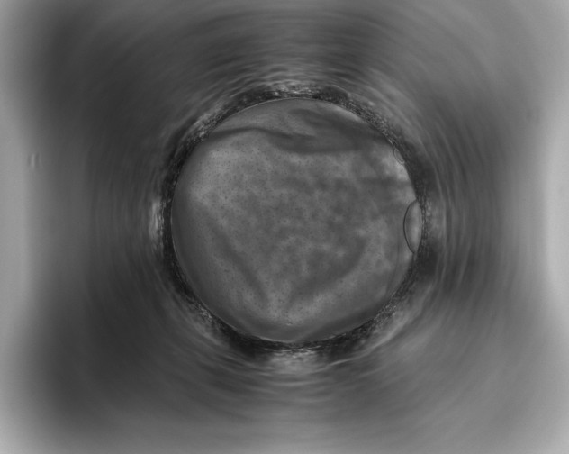 X0000096640271200802261305