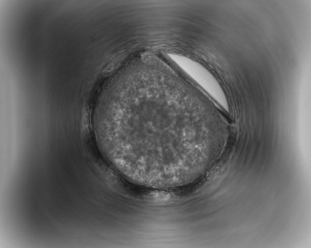 X0000096640272200802261305