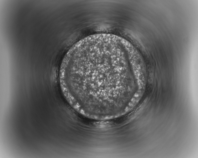 X0000096640273200802261305