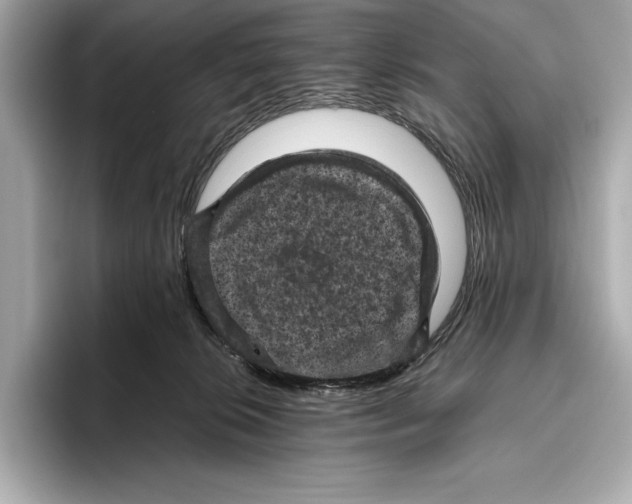 X0000096640276200802261305