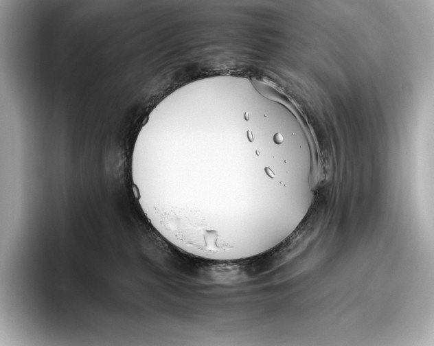 X0000096640279200802261305