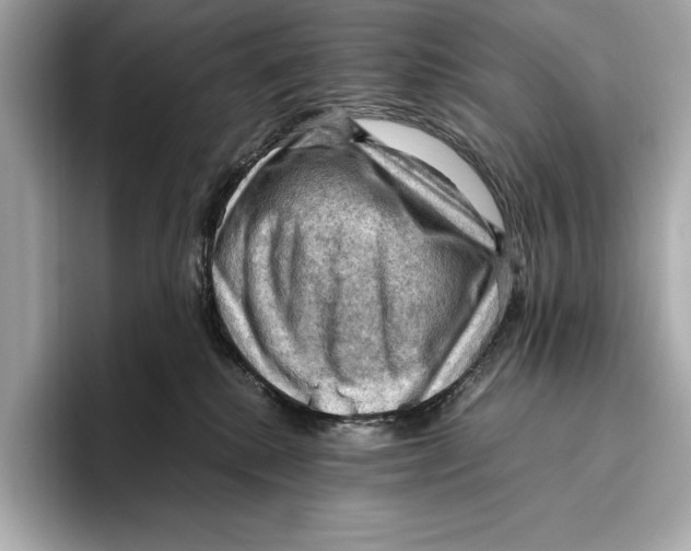 X0000096640280200802261305