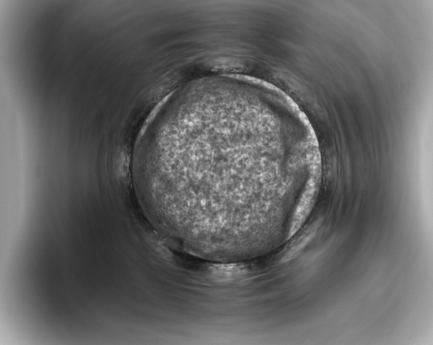 X0000096640281200802261305