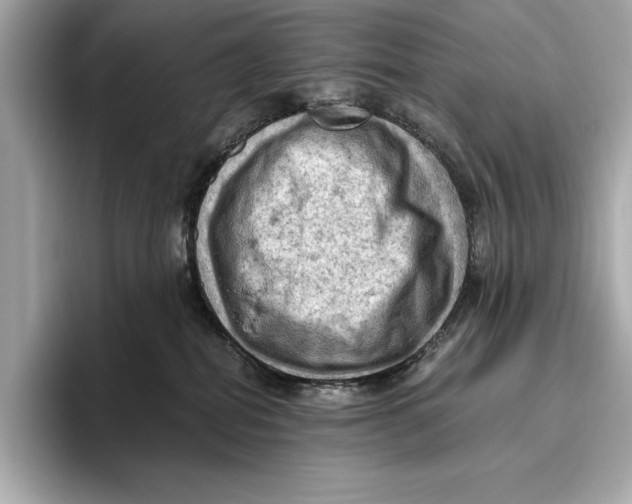 X0000096640282200802261305