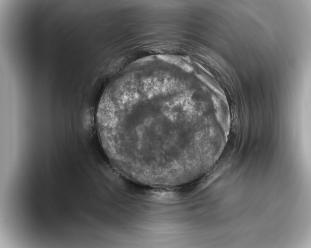 X0000096640284200802261305