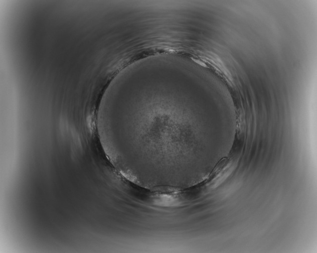 X0000096640285200802261305