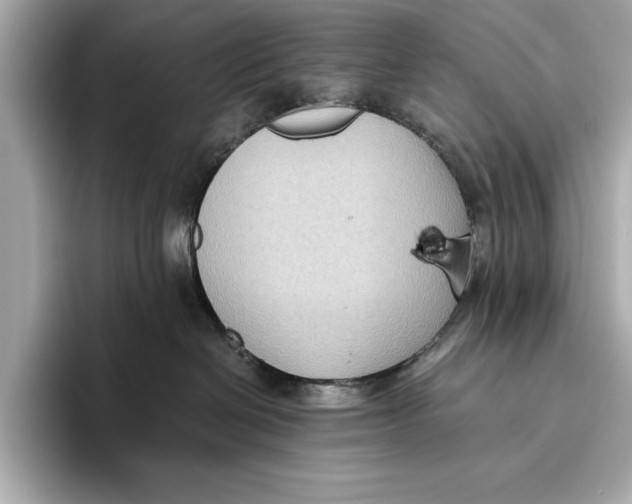 X0000096640286200802261305