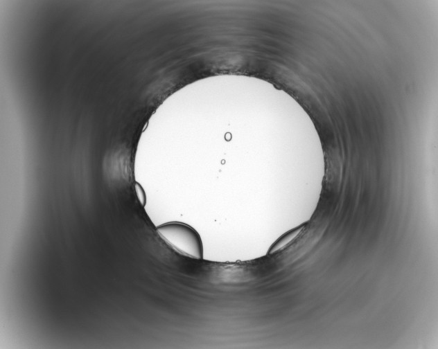 X0000096640287200802261305