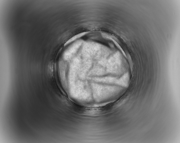 X0000096640288200802261305