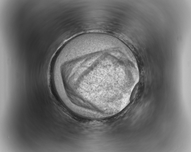 X0000096640290200802261304