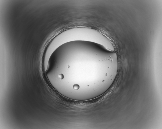 X0000096640293200802261304