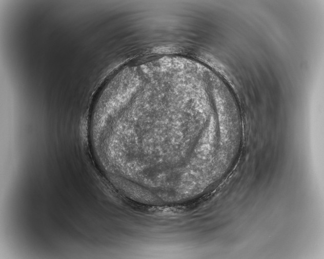 X0000096640297200802261304